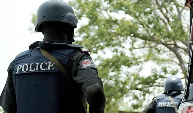 State police bill gains nationwide backing as assemblies prepare final vote