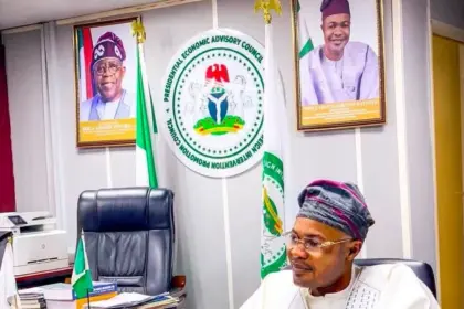 Alleged fake agency DG questions Presidency in old video