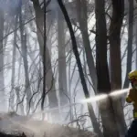 Spain wildfire burning in Los Gallardos during southern Europe heatwave
