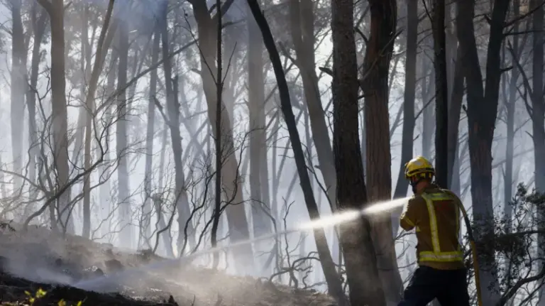 Spain wildfire burning in Los Gallardos during southern Europe heatwave