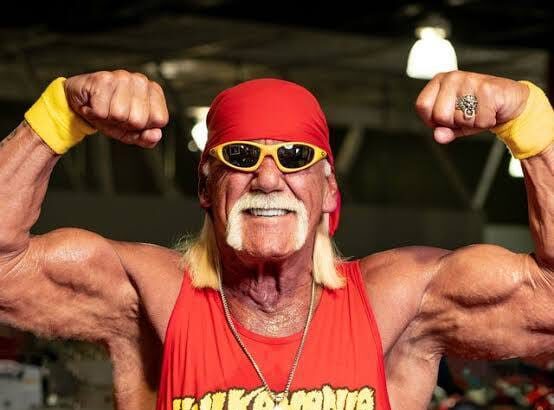 Hulk Hogan TNA run