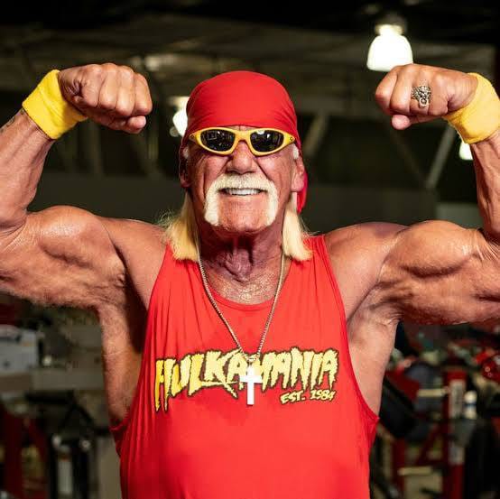 Hulk Hogan TNA run