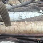 Nigerian Navy personnel intercepting stolen pipeline sections in Imo State