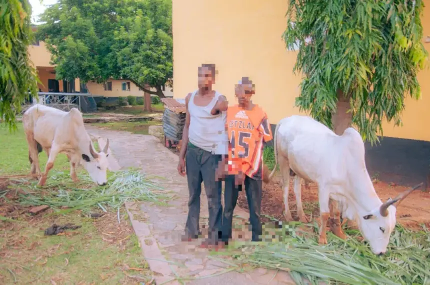 Ekiti police arrest suspects over kidnap plot in Ayede Ekiti