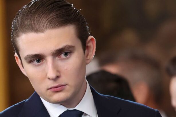 Barron Trump as the US Secret Service investigates an Iranian television video discussing a potential threat against him