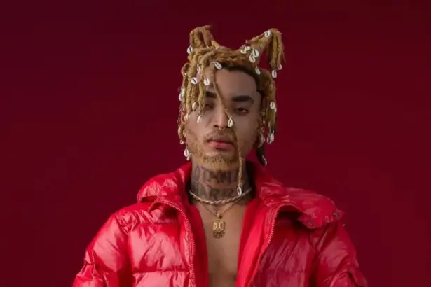 Mavin Records disclaimer distancing label from Lotanna Harry