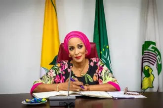 Foreign Affairs Minister Bianca Odumegwu-Ojukwu addresses Nigerians in the Diaspora