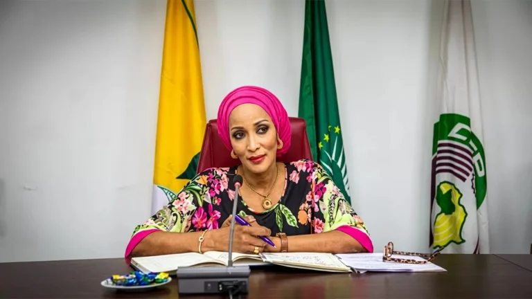 Foreign Affairs Minister Bianca Odumegwu-Ojukwu addresses Nigerians in the Diaspora