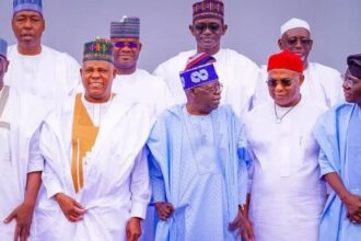 Nigerian state assemblies consider constitutional amendment on state police