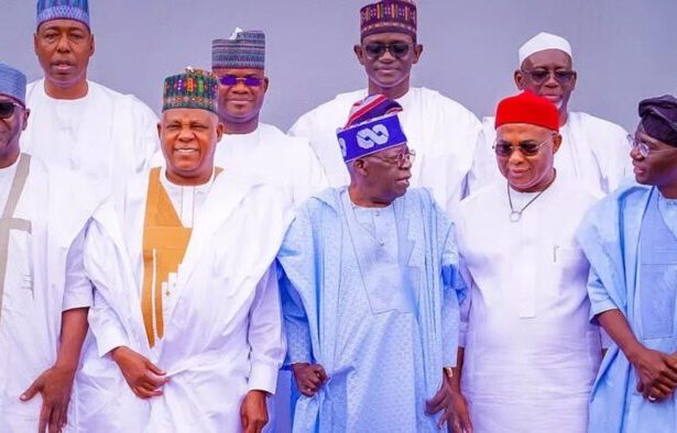 Nigerian state assemblies consider constitutional amendment on state police