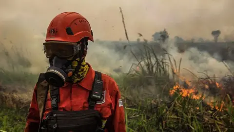 Thick wildfire haze covers parts of Indonesia as respiratory cases rise