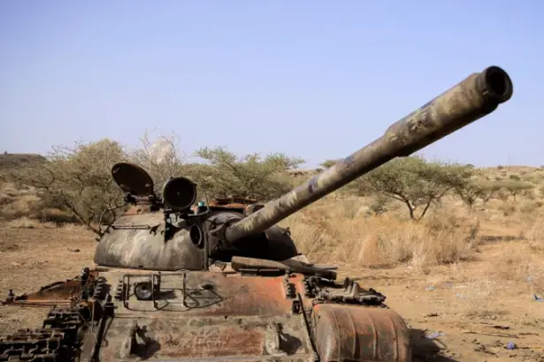 Tigrayan forces as seven Ethiopian armed groups form alliance against government
