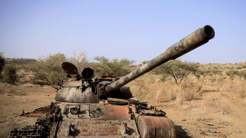 Tigrayan forces as seven Ethiopian armed groups form alliance against government