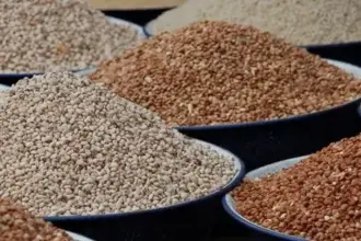 Beans sold in a Nigerian market amid NAFDAC pesticide safety concerns